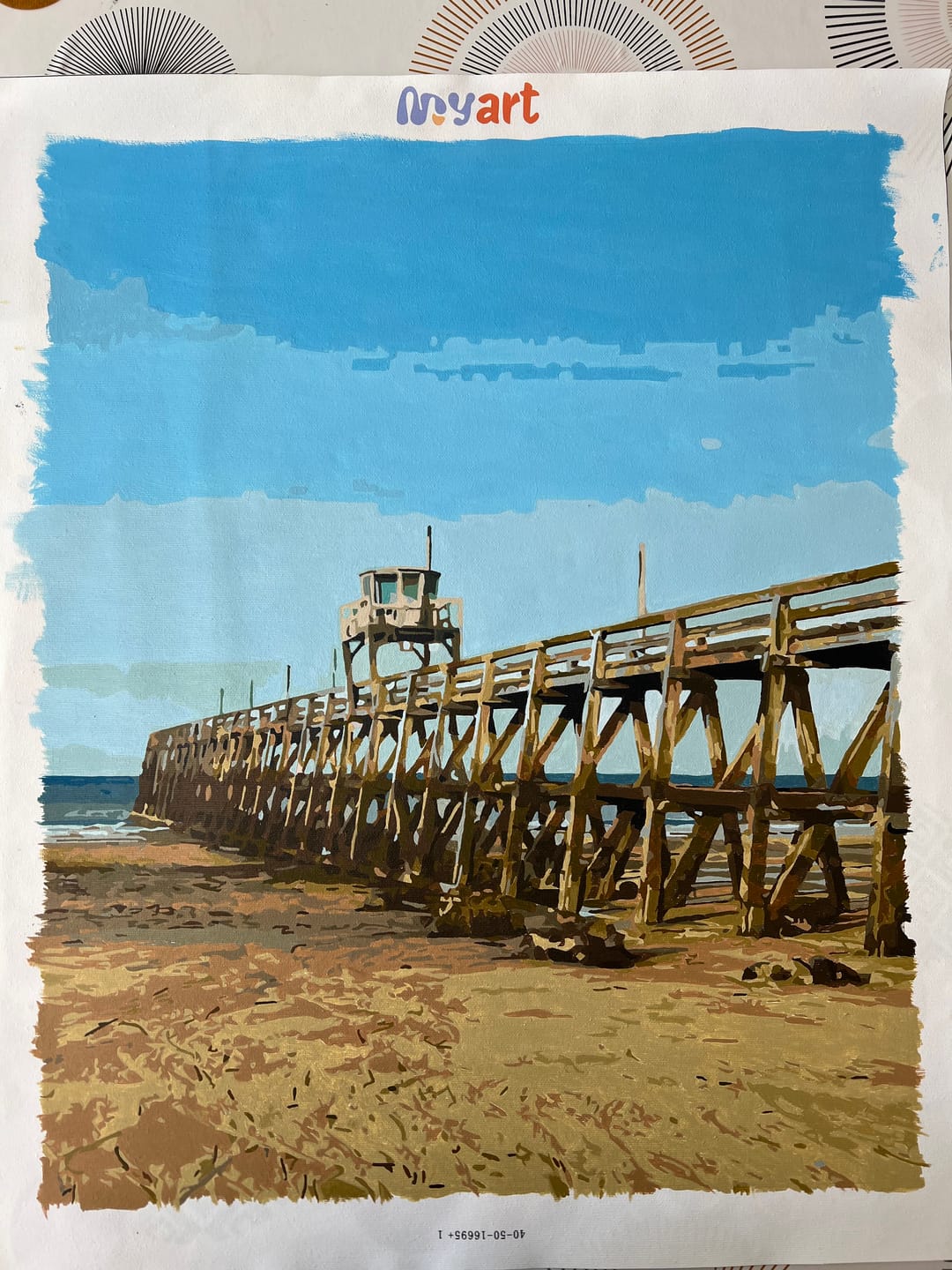 Customer photo review of Paint Your Photo