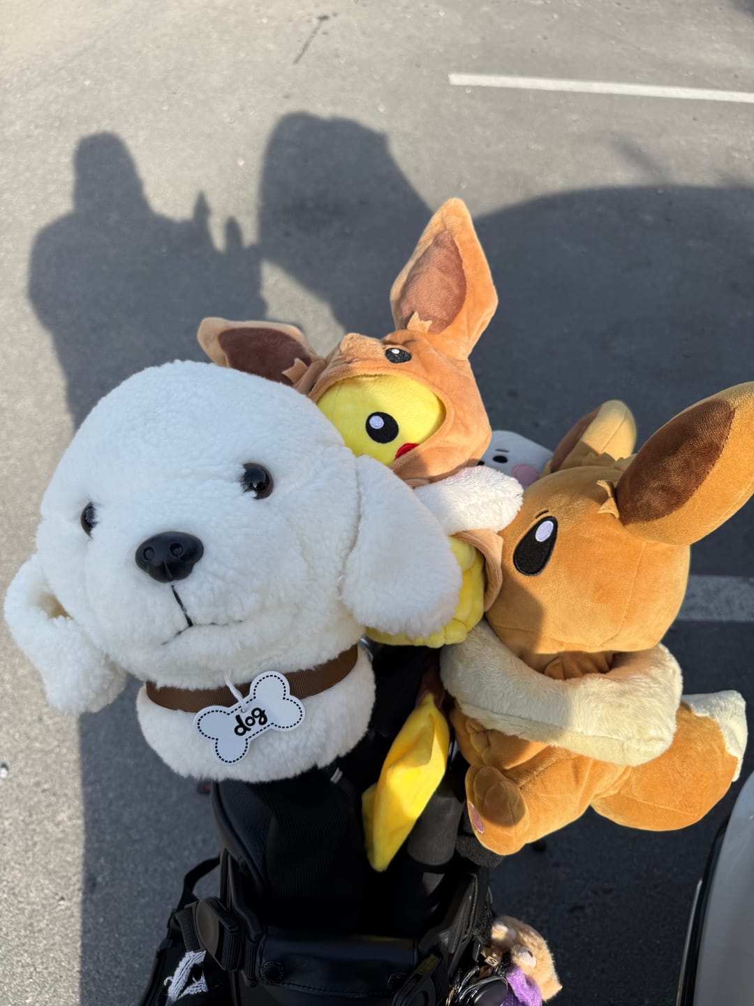 Customer photo review of Cute White Dog | Headcovers