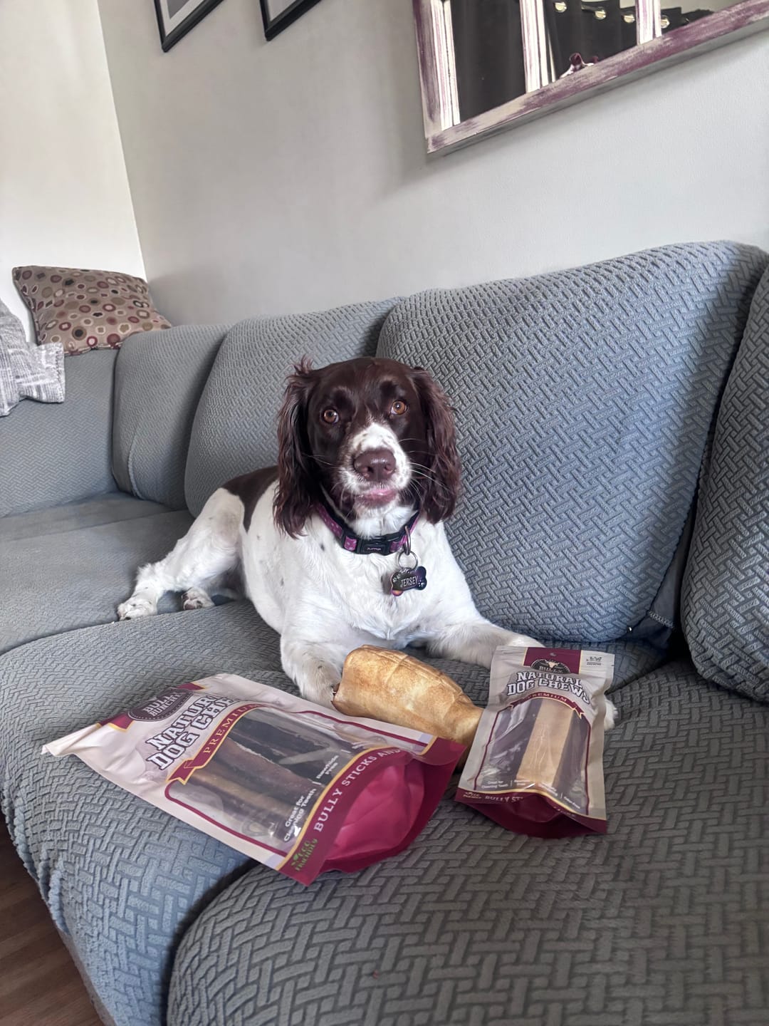 Customer photo review of 12 Inch Thick Bully Stick