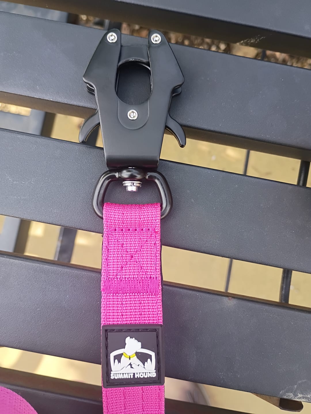 Customer photo review of Matching Pink 6' Bully Proof Leash