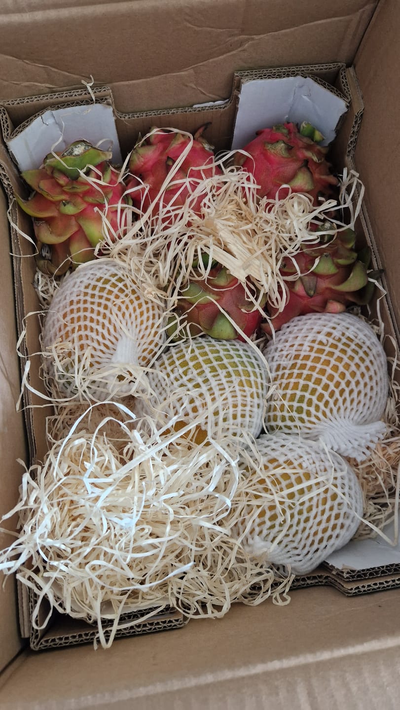 Customer photo review of Mango Kent baumgereifte Flugware