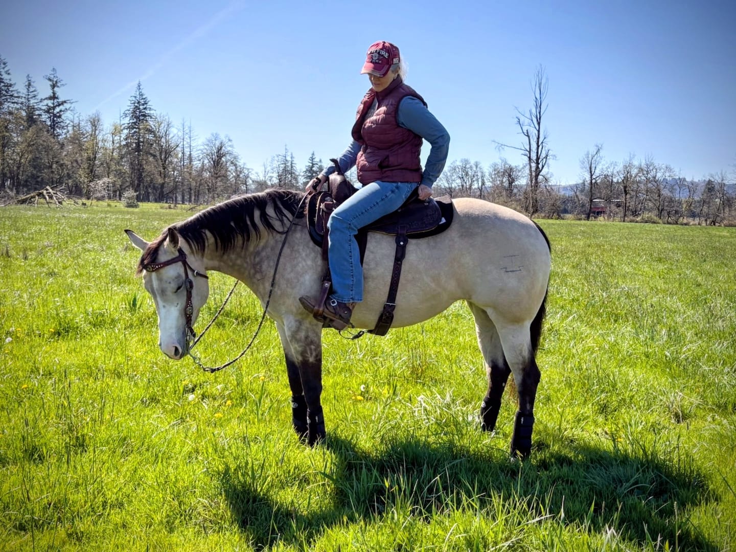 Customer photo review of All-In-One Supplement 45 lb. Large/Bulk Bag