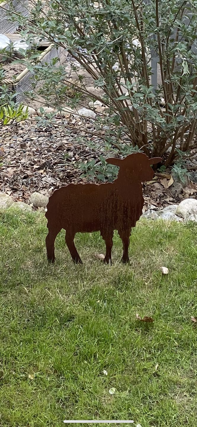 Customer photo review of Gartenstecker Schaf