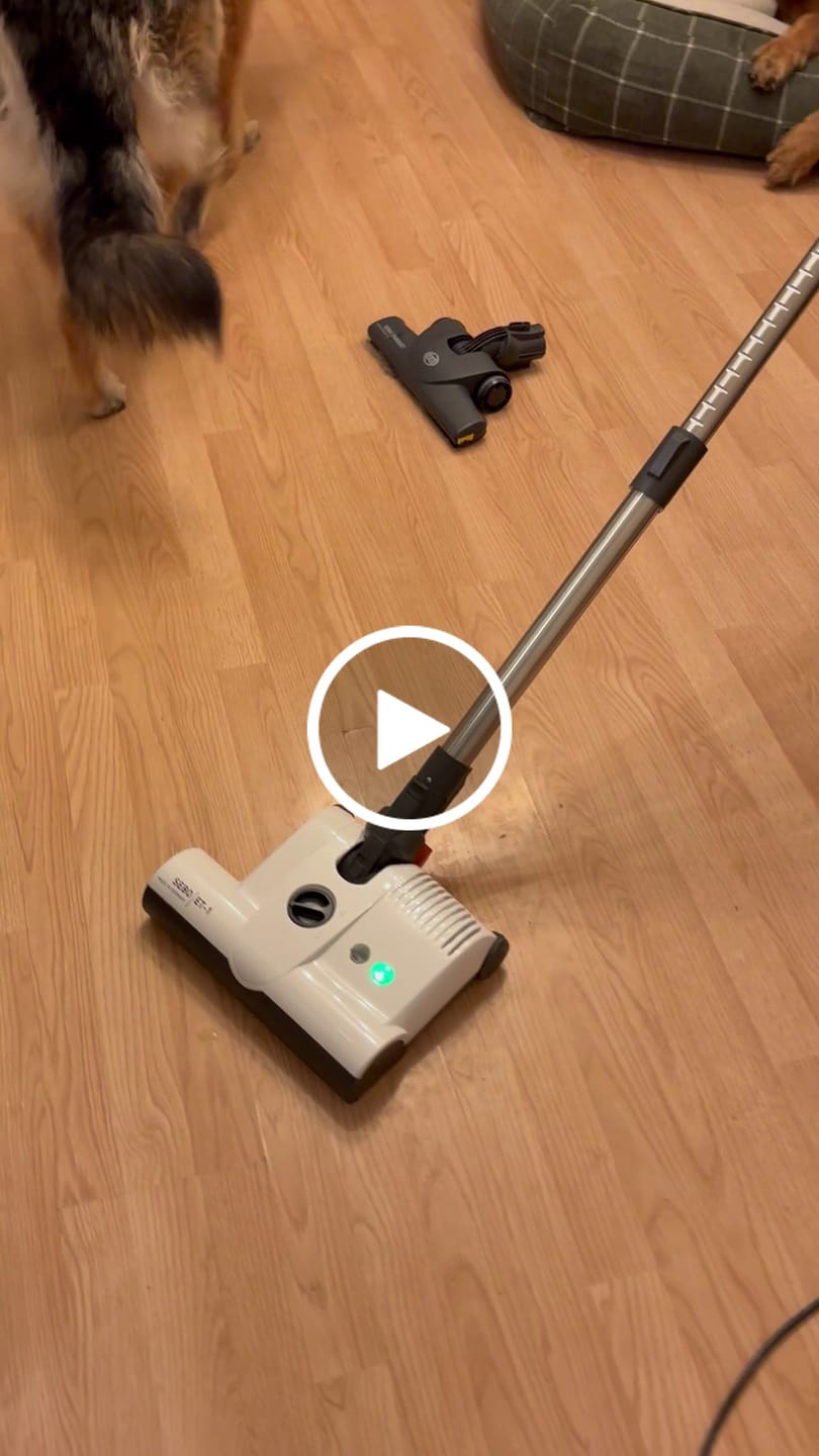 Customer video review of Sebo Airbelt D4 Premium Canister Vacuum Cleaner - White