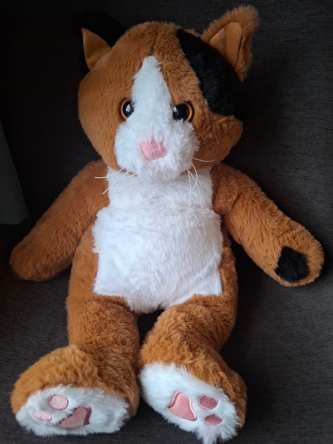 Customer photo review of Verzwaringsknuffel Kat 2,2 kg + Gratis Pittenzakje