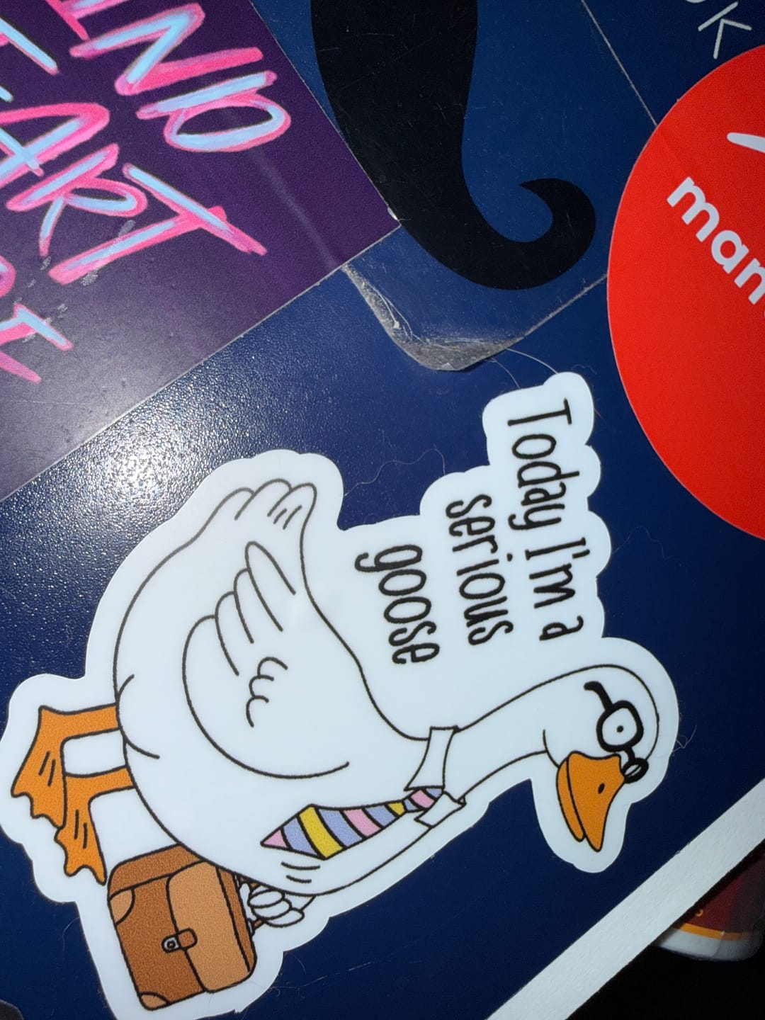 Customer photo review of STICKER CLUB | Monthly Sticker Subscription