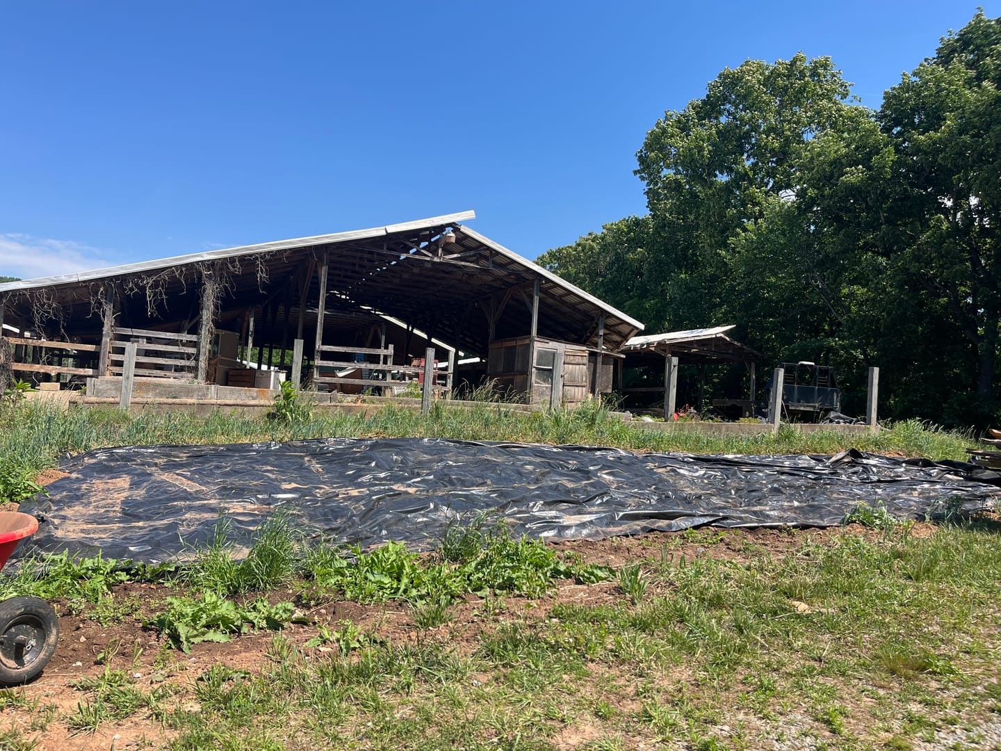 Customer photo review of Silage Tarp 20' x 50'*