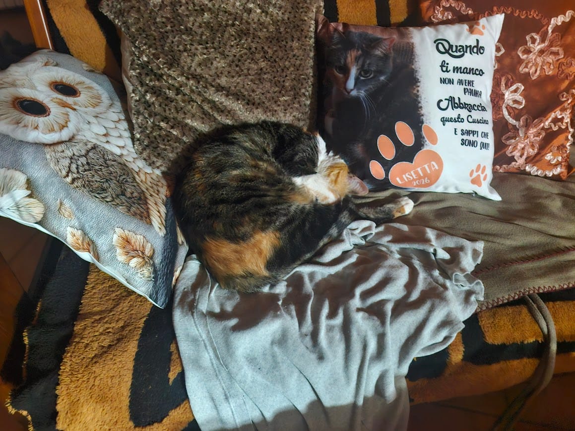 Customer photo review of Quando ti manco - Cuscino personalizzato