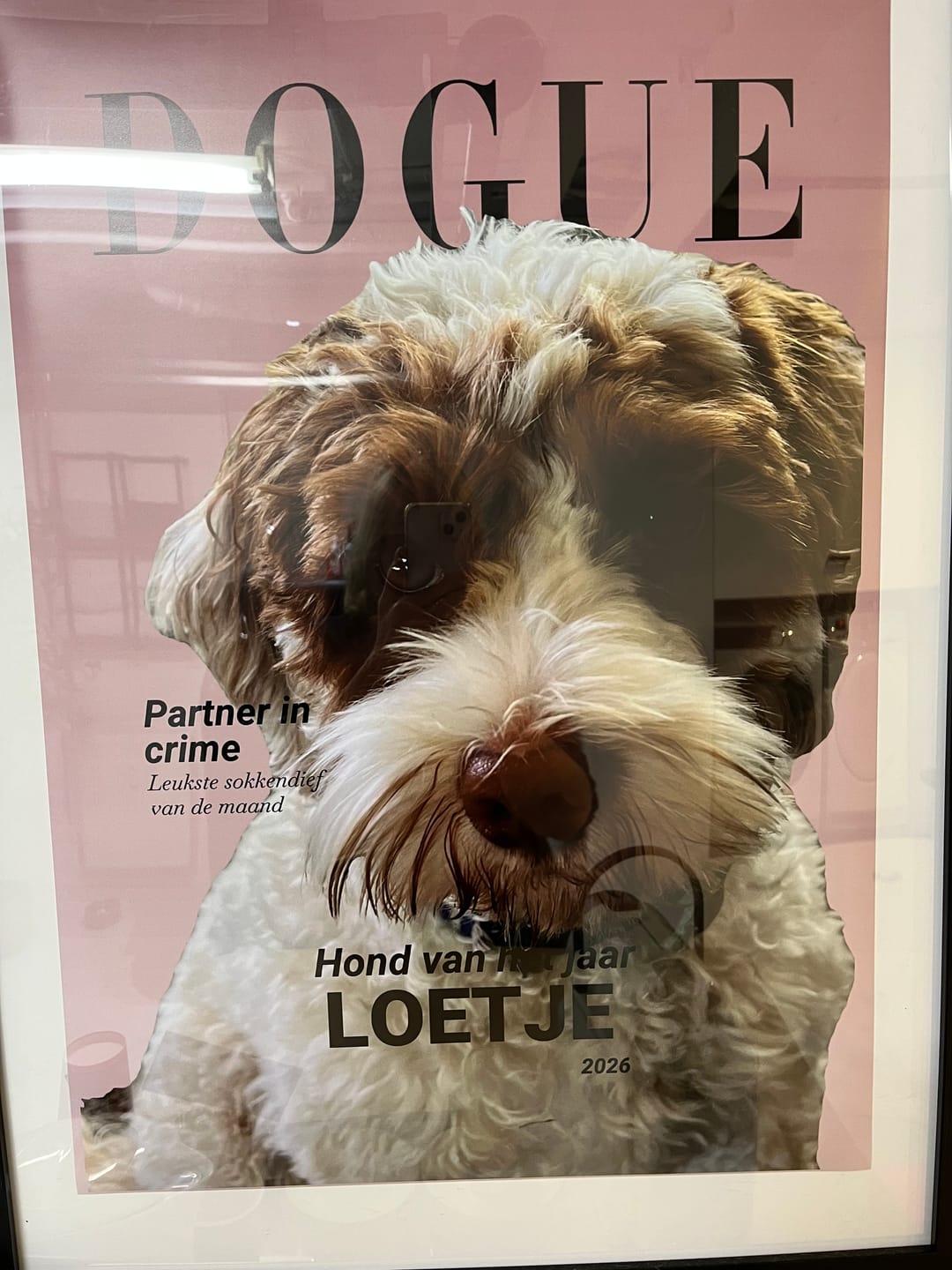 Customer photo review of Dogue - Gepersonaliseerde Poster