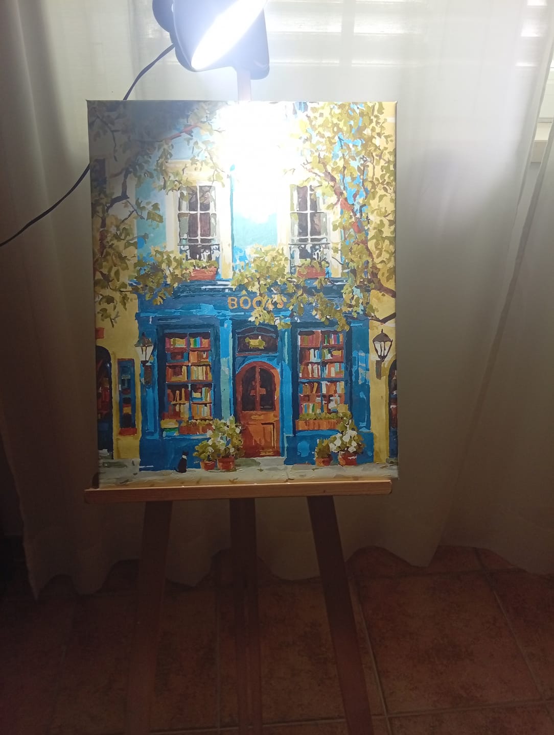 Customer photo review of The Blue Bookshop | Paint by Number