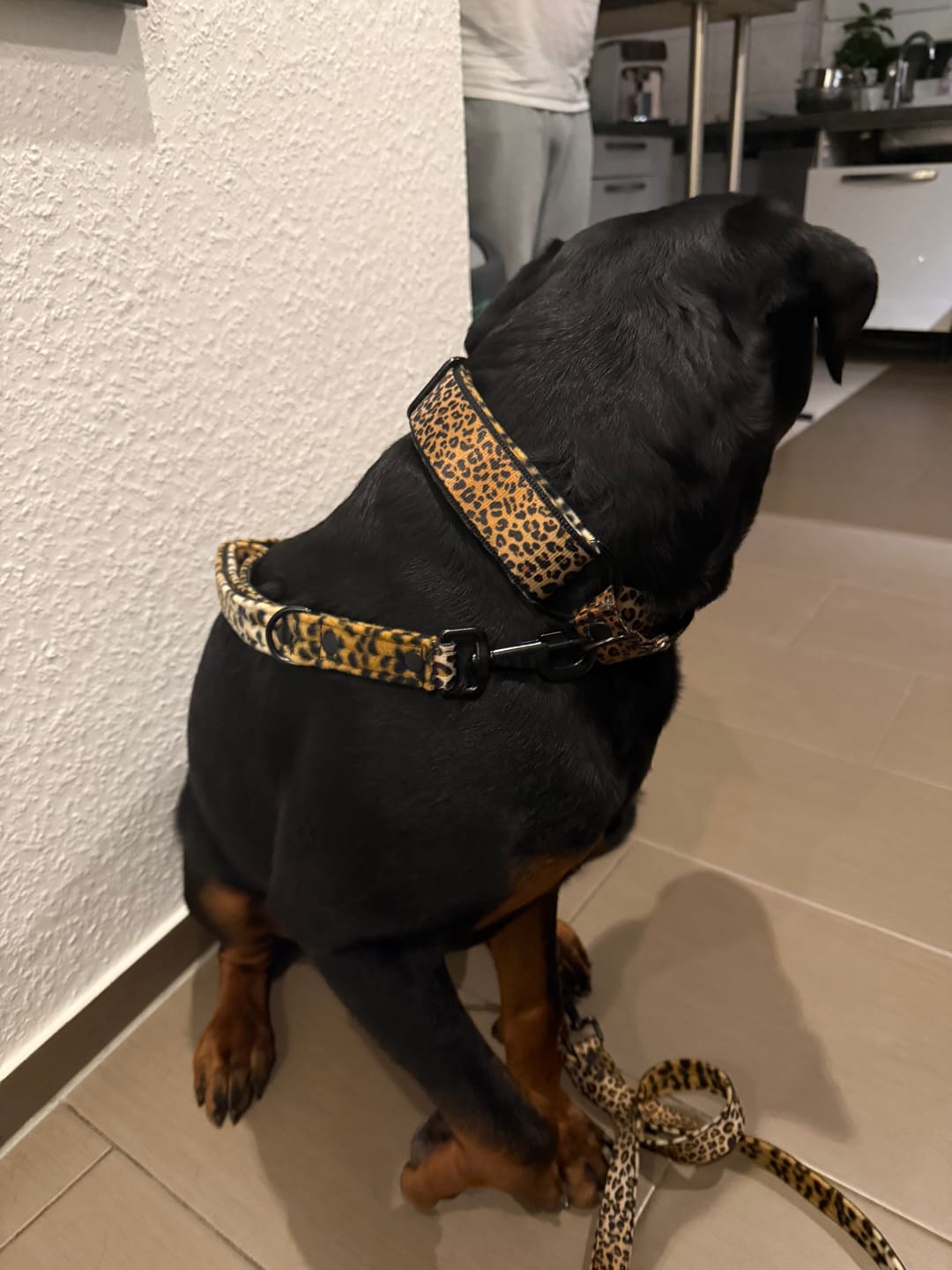Customer photo review of Multileash Leopard - Multifunktionellt koppel