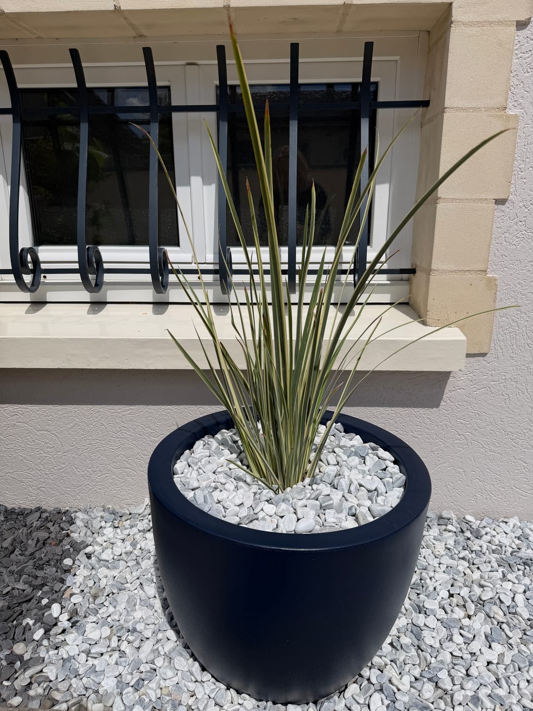 Customer photo review of Pot - Cuenco