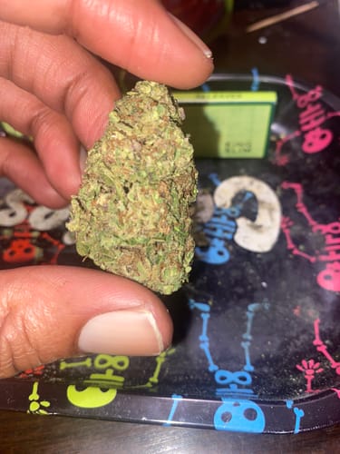 Purple Churro - Bulk - Indica photo review