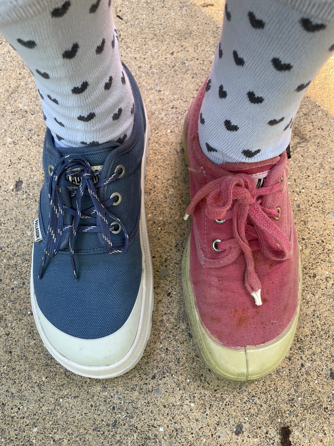 Customer photo review of 94661-481-M | DUNELITE OX CUSH | VINTAGE INDIGO