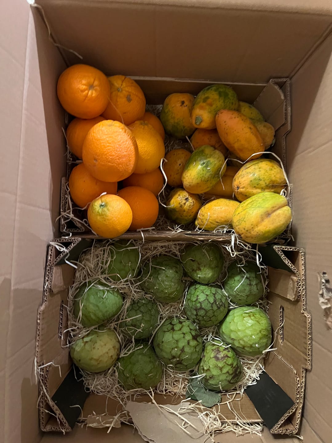 Customer photo review of Orangen Lane Late Bio von Apostolis Kreta 4kg Box