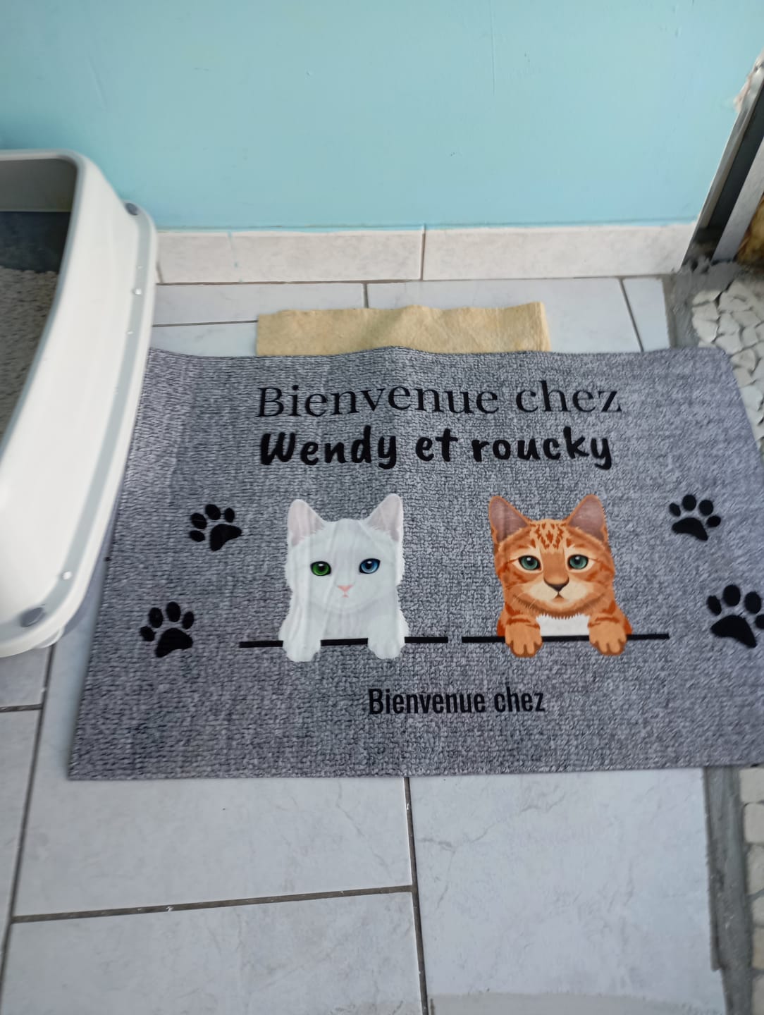 Customer photo review of Bienvenue chez - Paillasson personnalisé