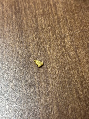 Customer photo review of 10 Lb. NUGGET RESERVE™ Gold Paydirt Unsearched BOGO
