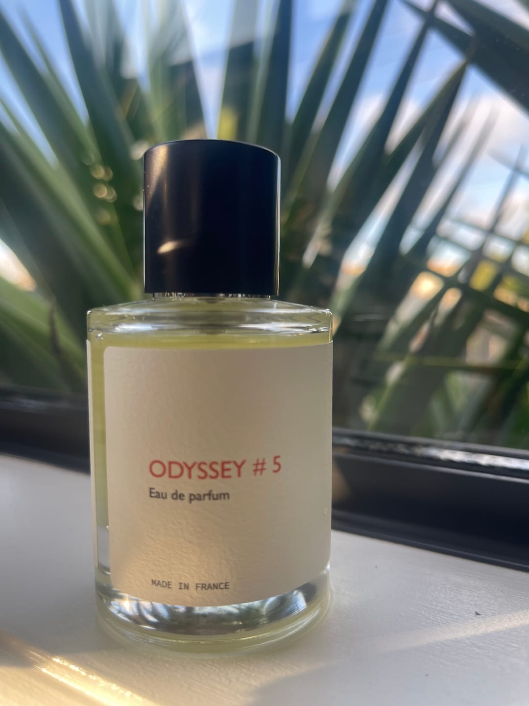 Customer photo review of Odyssey #5