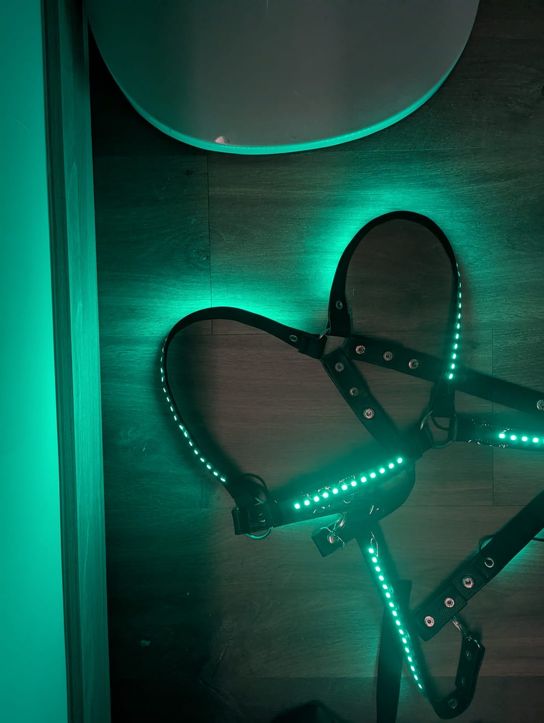 Customer photo review of LED Harness