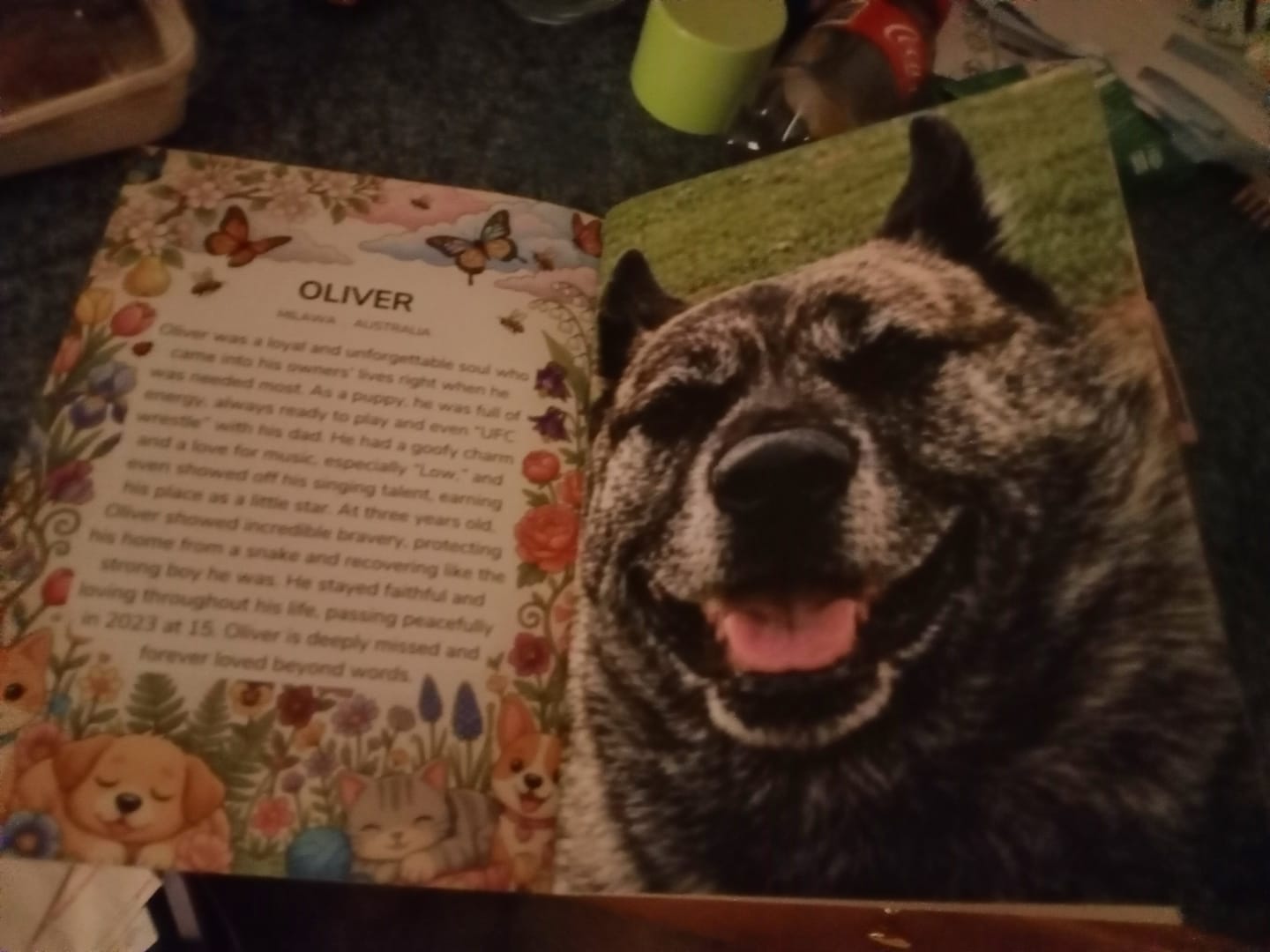 Customer photo review of Cutest Pets of Pupvote Spring 2026