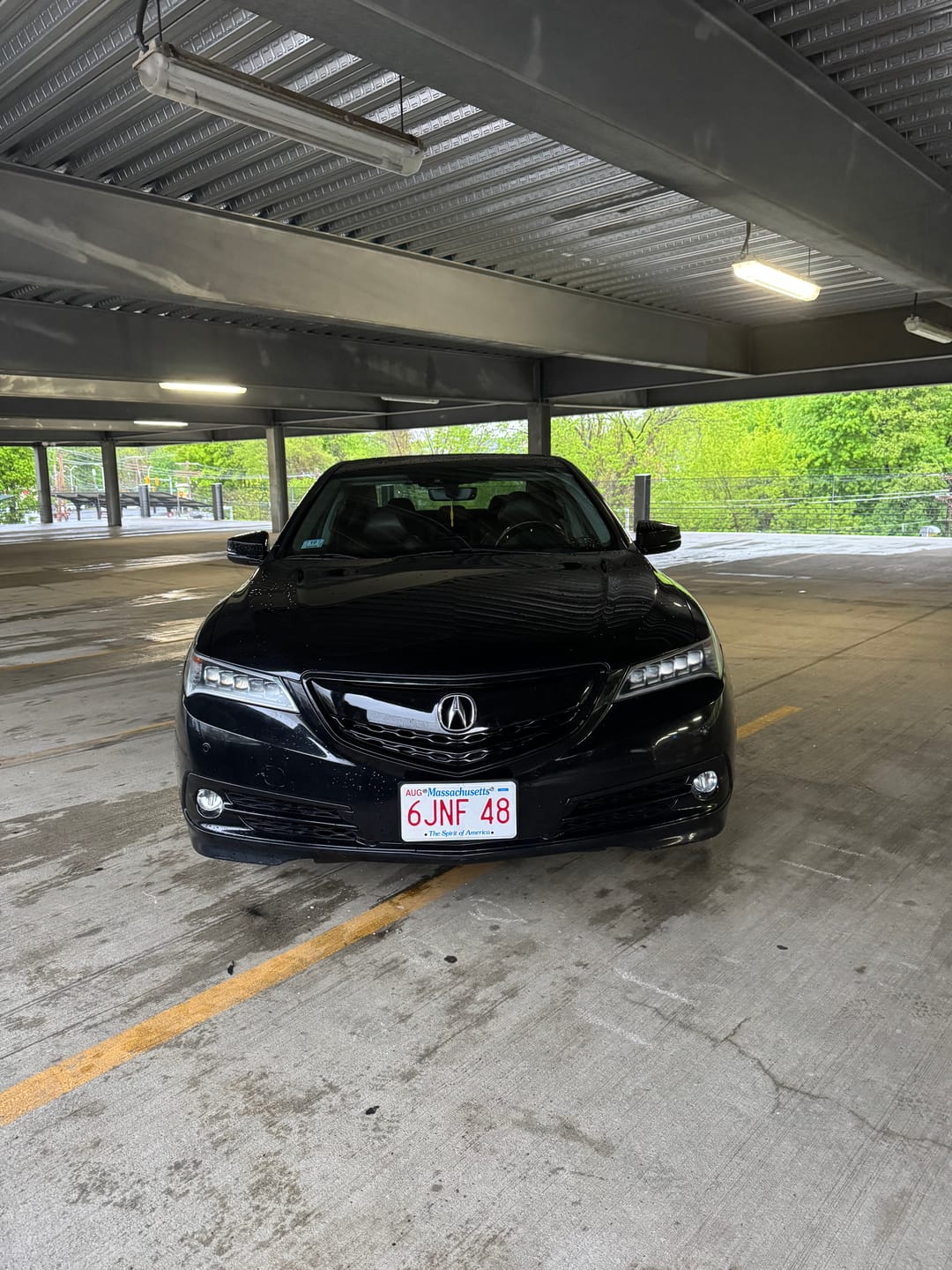 Customer photo review of Gloss Black Front Bumper Grille For Acura TLX 2015-2017