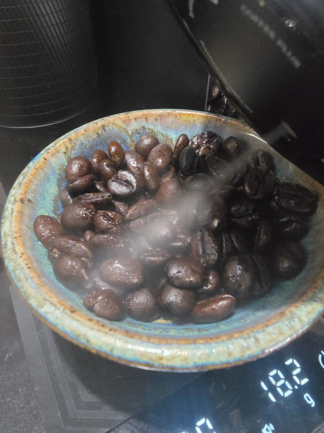 Customer photo review of Electric Anti-Static Bean Sprayer