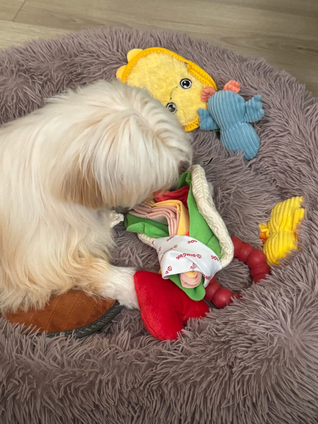 Customer photo review of Tortilla Nosework Toy