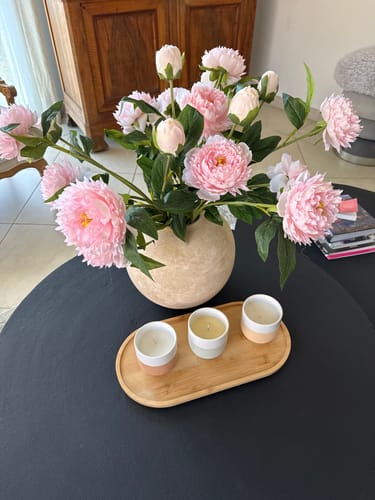 Customer photo review of Terra vase - Beige