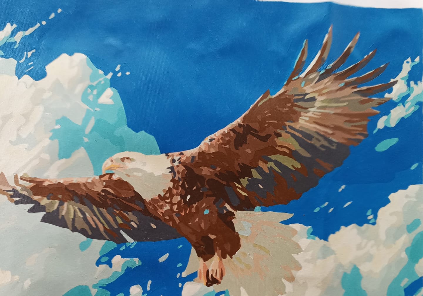 Customer photo review of Soaring Eagle