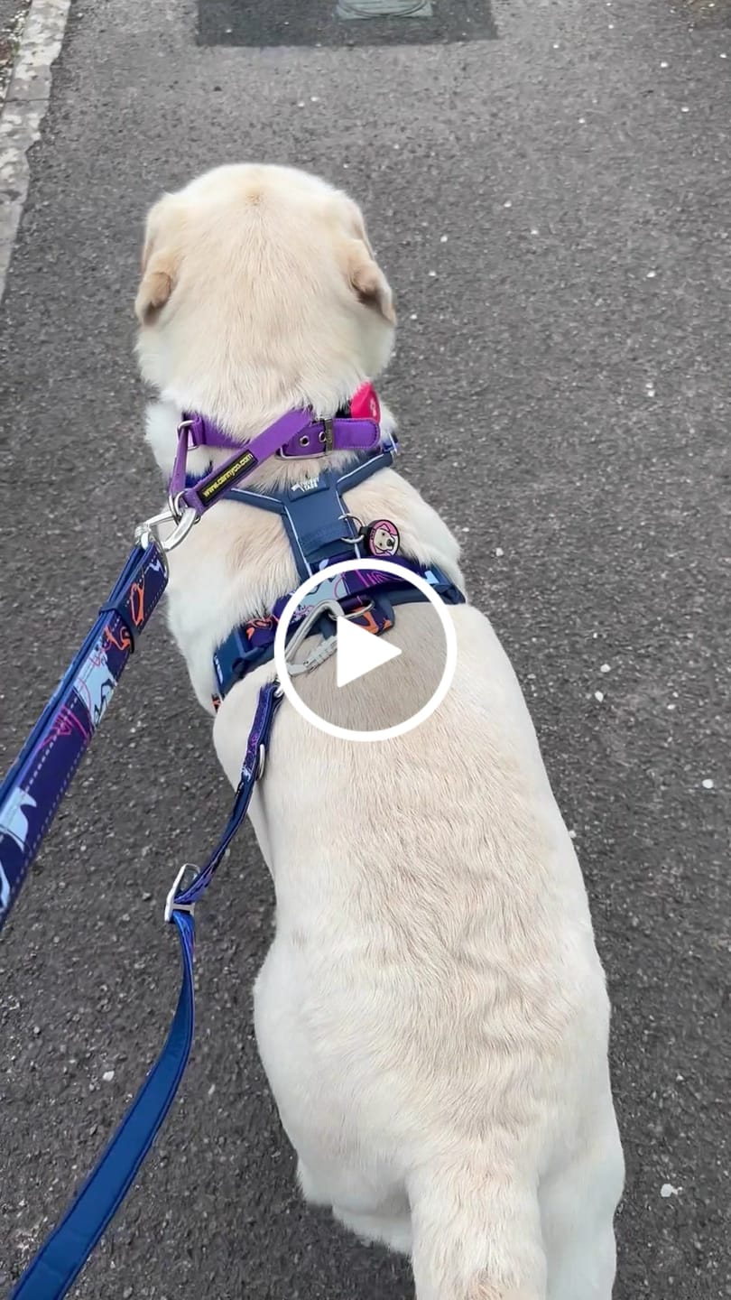 Customer video review of Multi-Way Lead