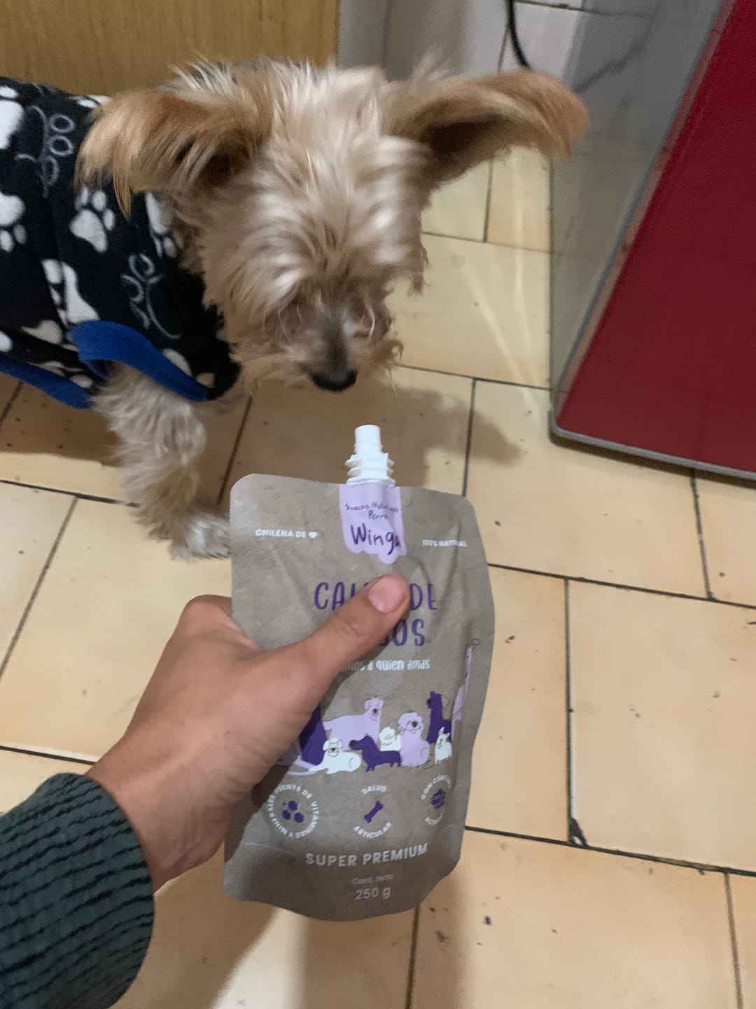 Customer photo review of Caldo de Huesos Perros