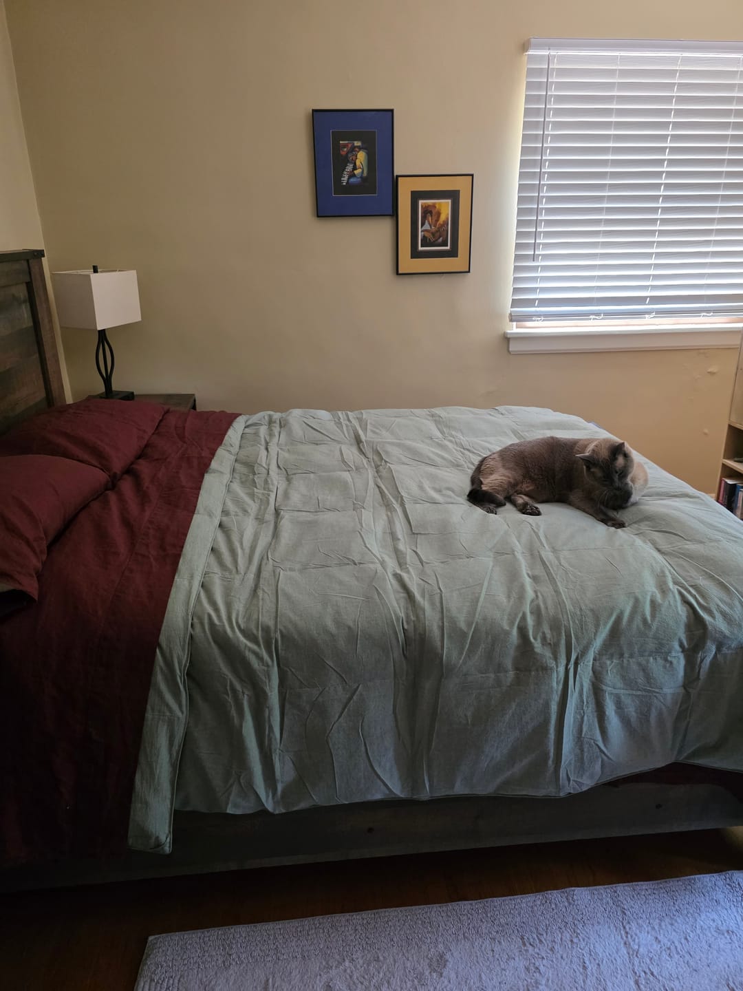 Customer photo review of European Linen Goose Down Filled Comforter