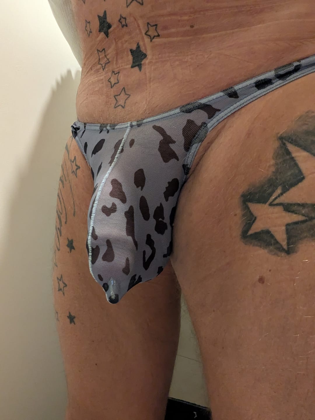 Customer photo review of 4 Pack Leopard Print See-through Mesh Thongs