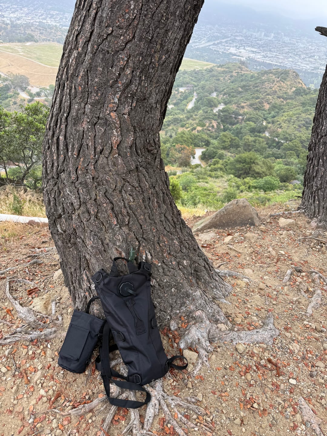 Customer photo review of Hydration Backpack