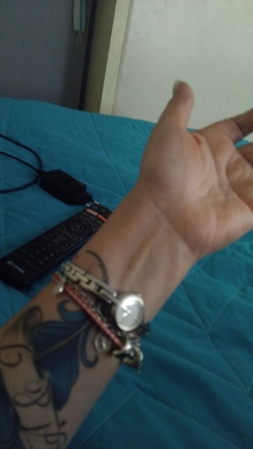 Customer photo review of Clip Mariposas Enchapado en Plata