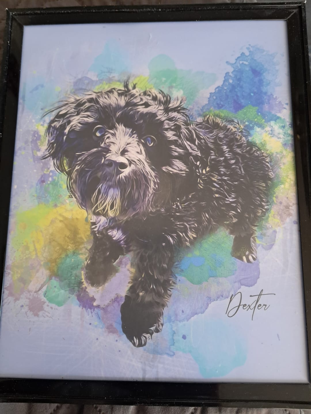 Customer photo review of Watercolor Pet Portrait Wall Art