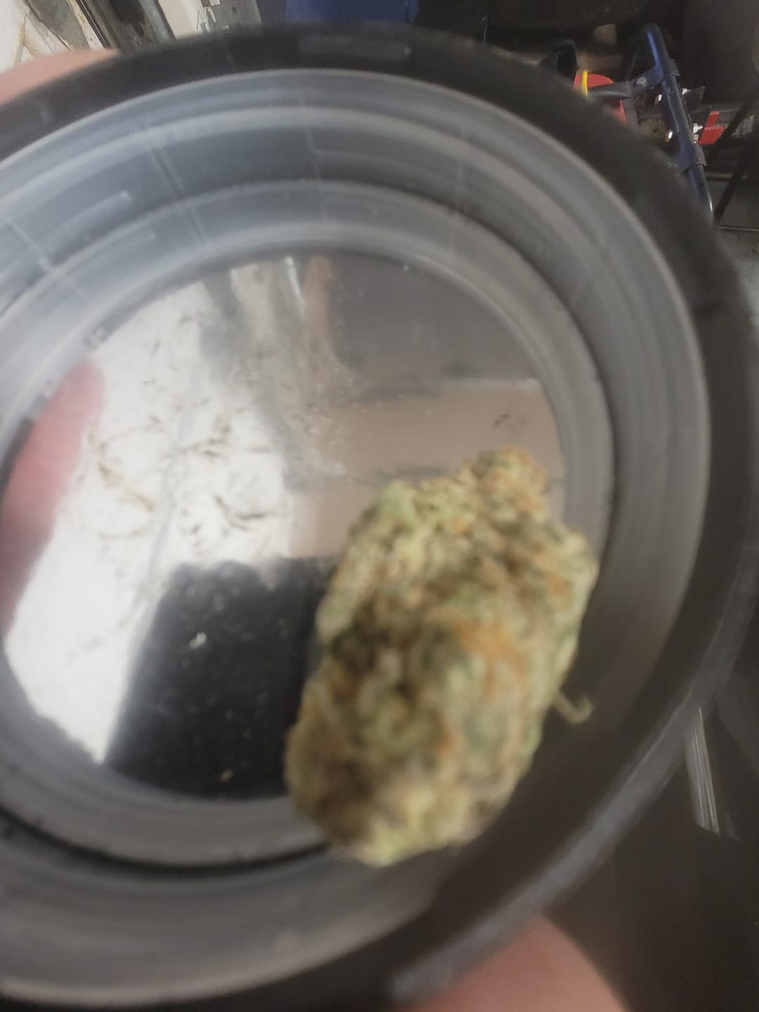 Customer photo review of Blueberry Syrup - 28 Grams - Indica