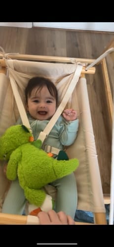 Customer photo review of Spruce | Foldable Baby Swing