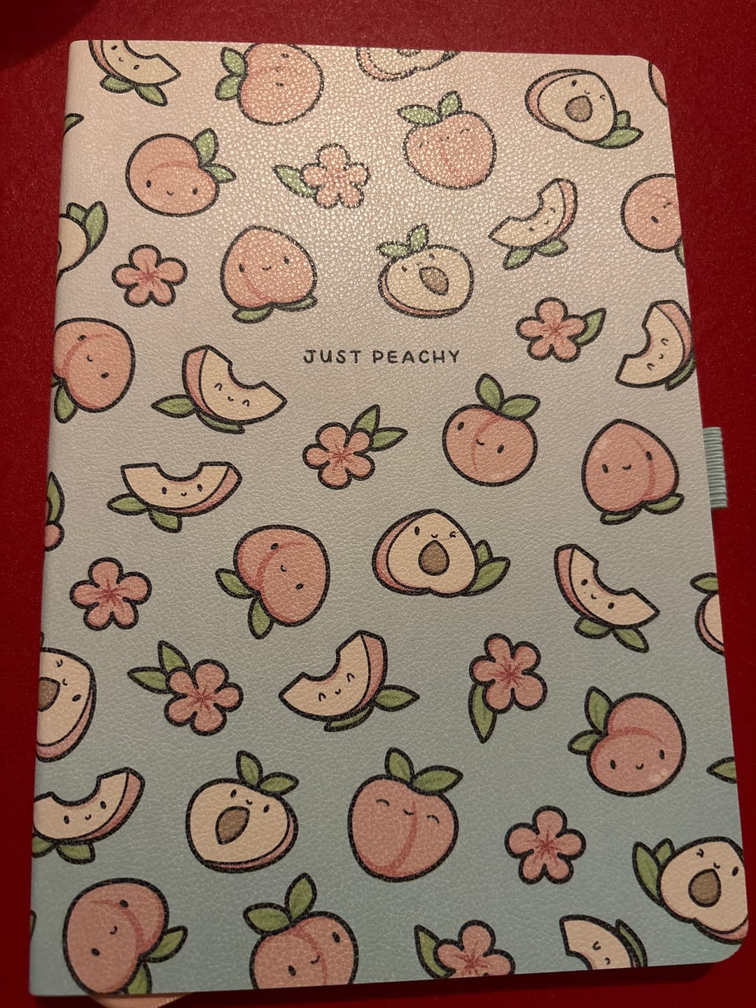 Customer photo review of Just Peachy TRP 3-Month Daily Planner