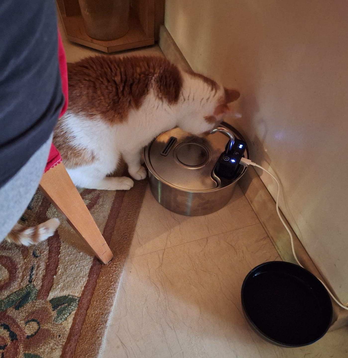 Customer photo review of NordFlow 2.0 Katzenbrunnen