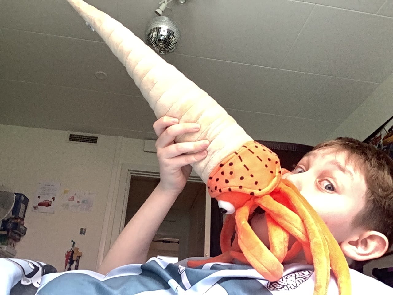 Customer photo review of Orthoceras Nautiloid Cephalopod Soft Stuffed Plush Toy
