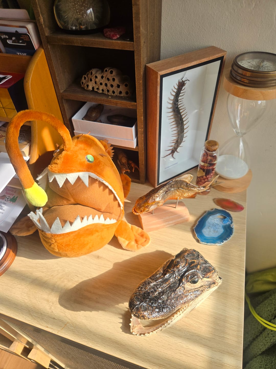 Customer photo review of Anglerfish Soft Stuffed Plush Toy
