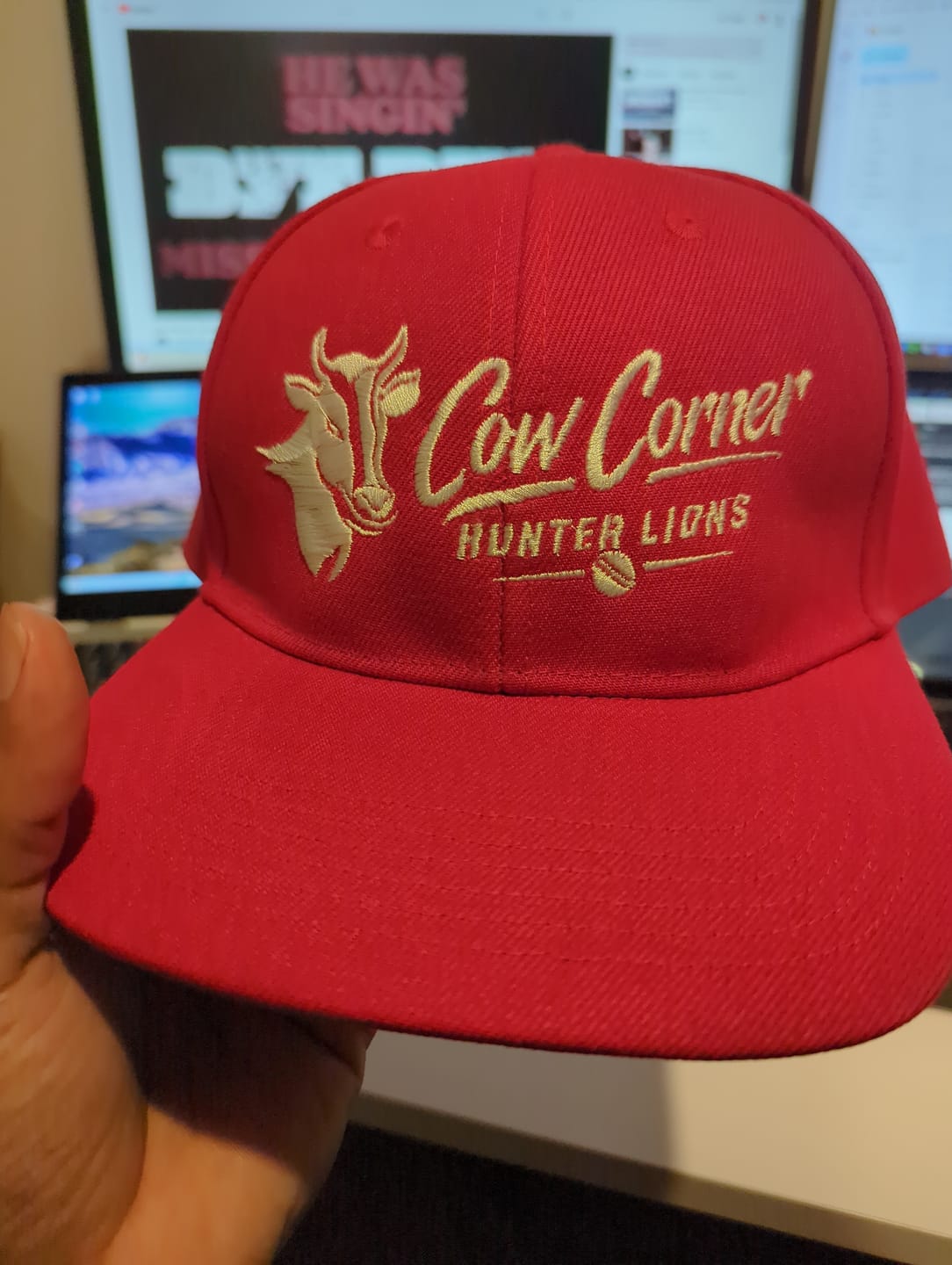 Customer photo review of Custom Red 3D Puff Embroidery Flat Embroidery Casual Sport Baseball Cap