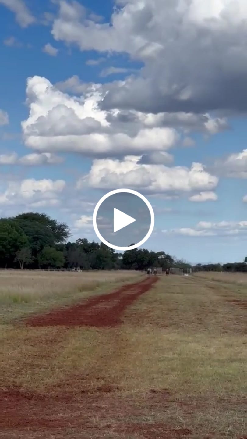 Customer video review of Flexcare Equine (Joint Supplement For Horses)