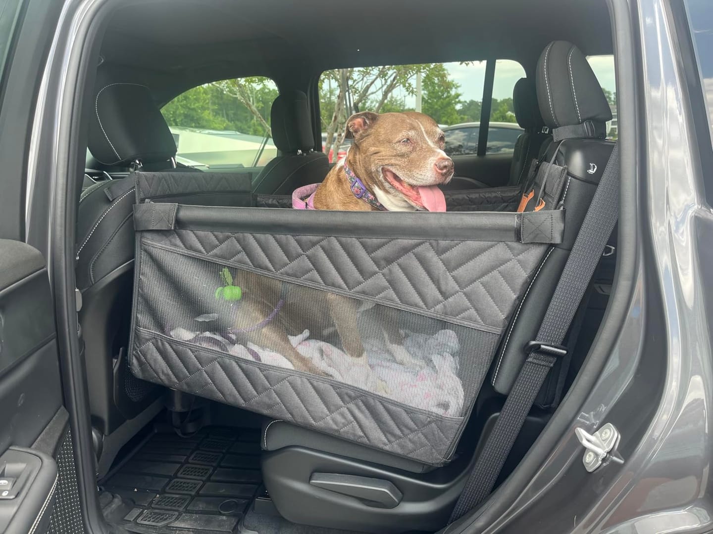 Customer photo review of MrBarks Single Seat Dog Seat Cover - 60% OFF