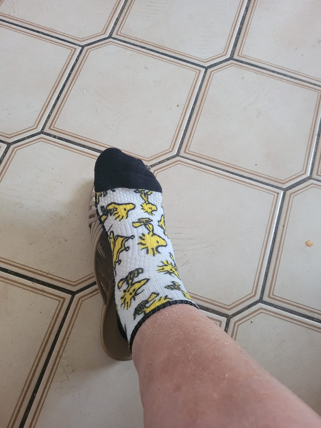 Customer photo review of Woodstocks Ankle Compression Socks