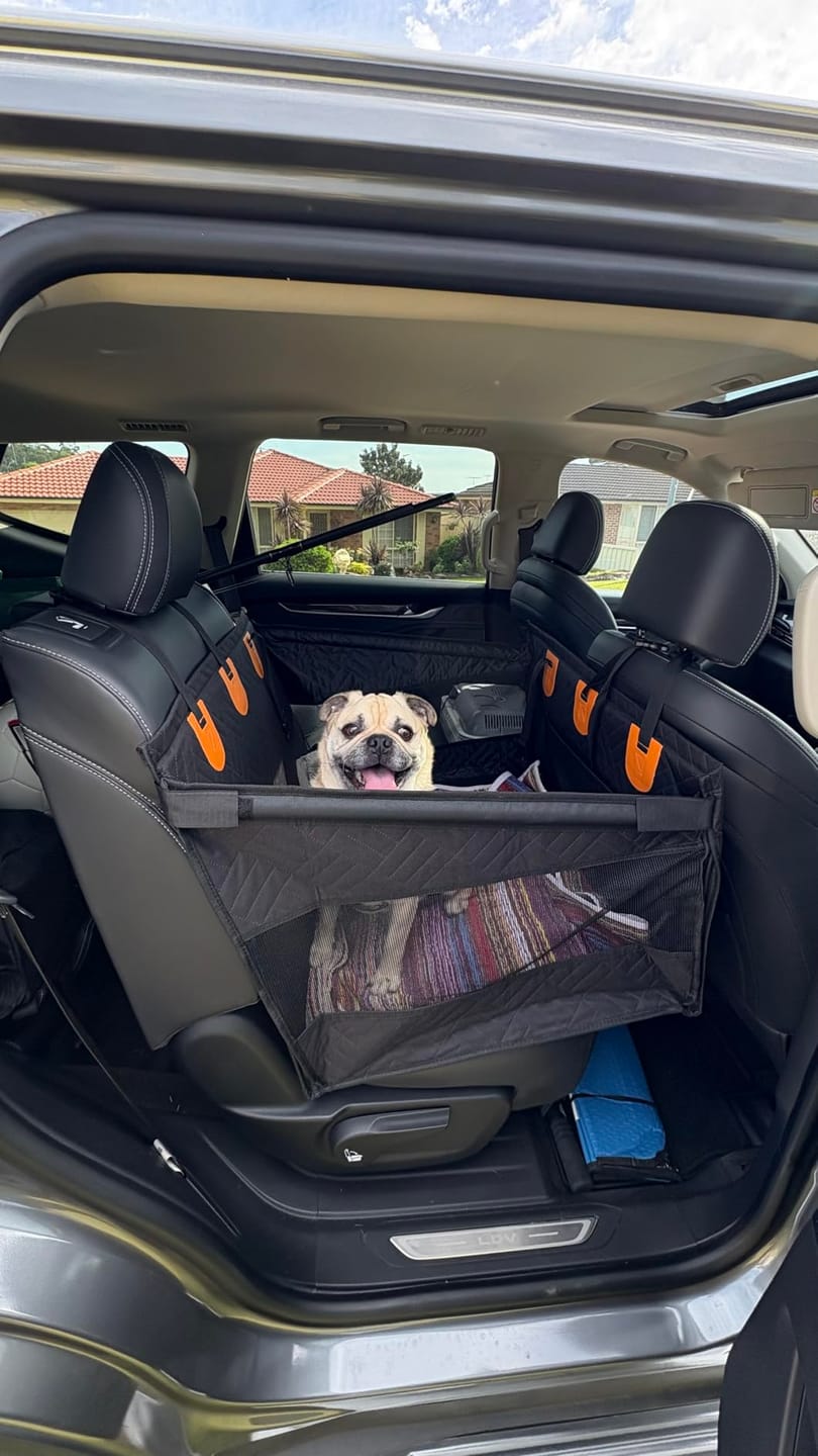 Customer photo review of MrBarks Single Seat Dog Seat Cover - 60% OFF