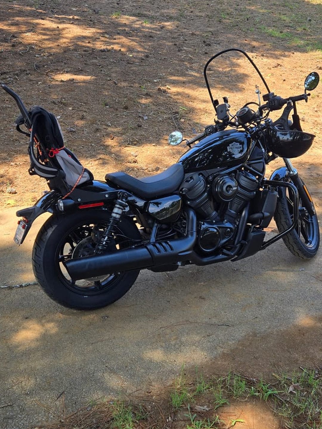 Customer photo review of Iron Born Blade 25" Sissy Bar with Foldable Luggage Rack for Harley Sportster Nightster RH975/S Matte Black