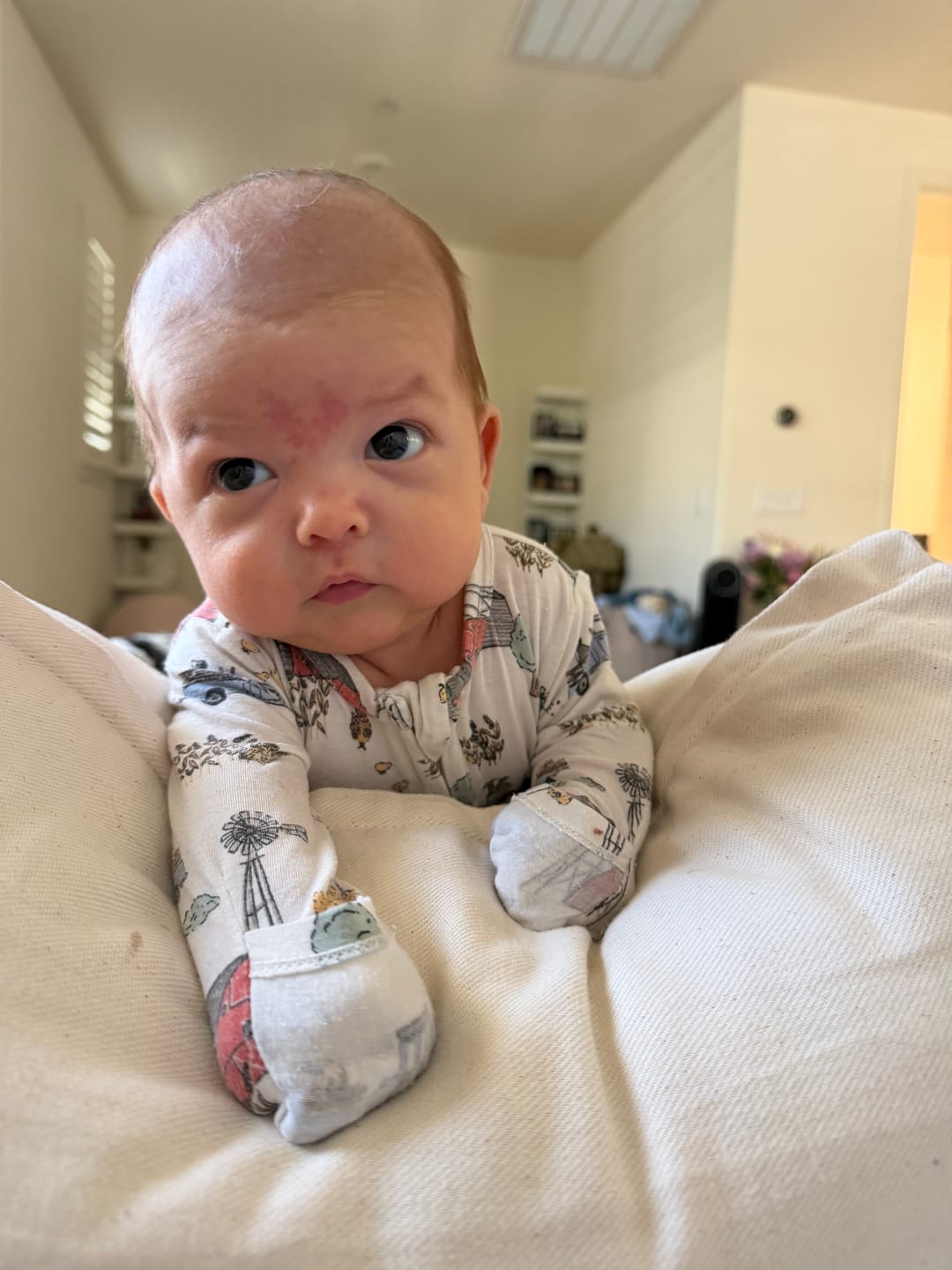 Customer photo review of Peekaboo Pillow | Original