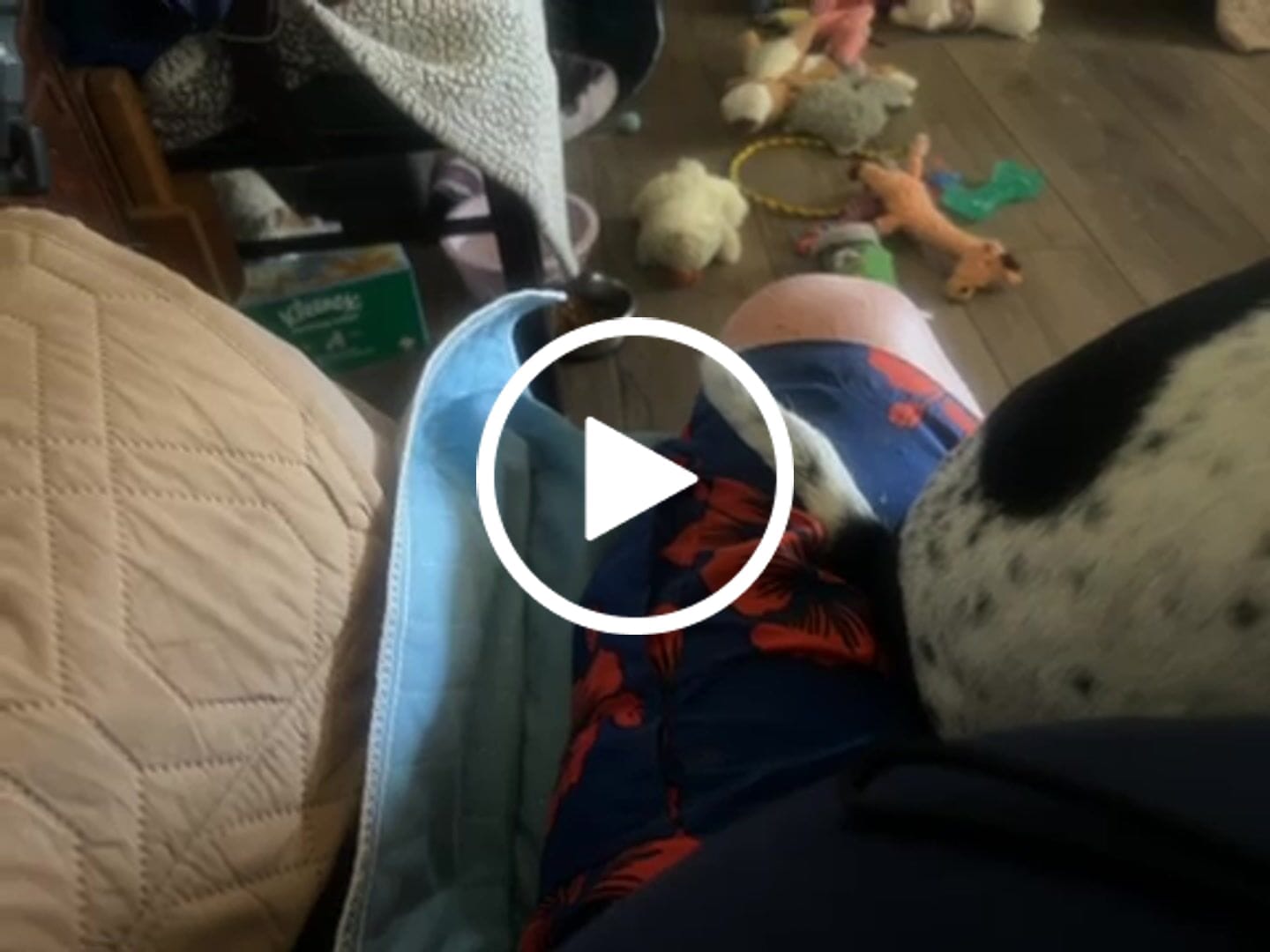 Customer video review of Washable Reusable Bed Pads for Incontinence (34" x 36")